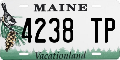 ME license plate 4238TP