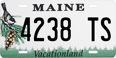 ME license plate 4238TS