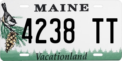 ME license plate 4238TT