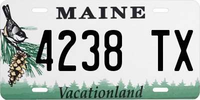 ME license plate 4238TX