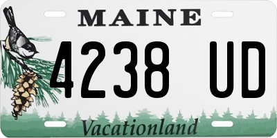 ME license plate 4238UD