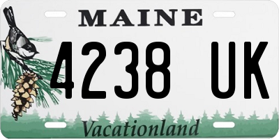 ME license plate 4238UK