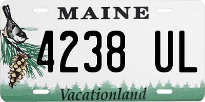 ME license plate 4238UL