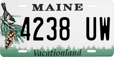 ME license plate 4238UW