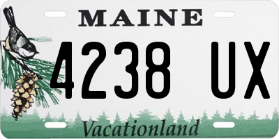 ME license plate 4238UX