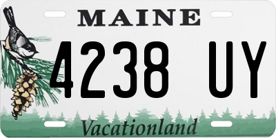 ME license plate 4238UY