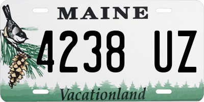 ME license plate 4238UZ