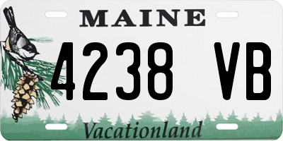 ME license plate 4238VB