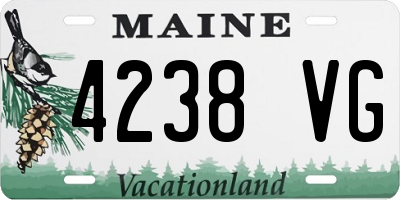 ME license plate 4238VG