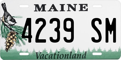 ME license plate 4239SM