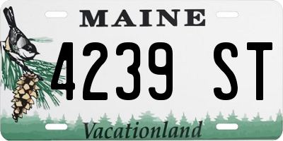 ME license plate 4239ST