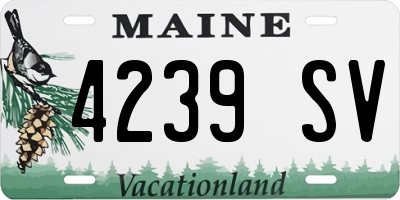ME license plate 4239SV