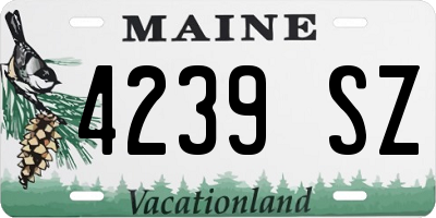 ME license plate 4239SZ