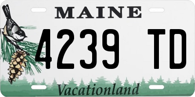 ME license plate 4239TD