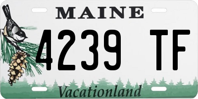 ME license plate 4239TF