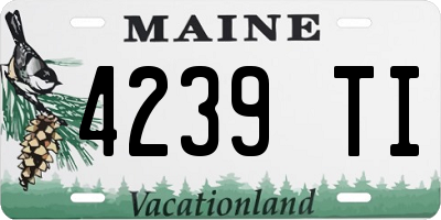 ME license plate 4239TI