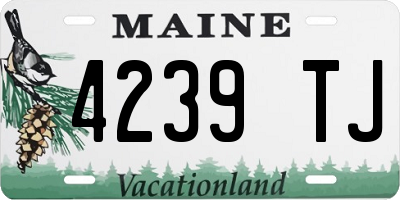 ME license plate 4239TJ