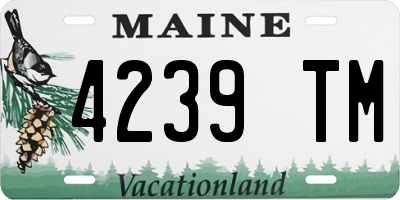ME license plate 4239TM