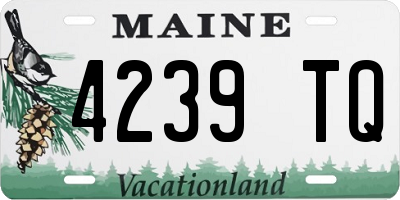 ME license plate 4239TQ