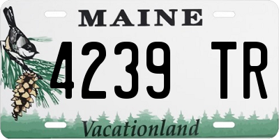 ME license plate 4239TR