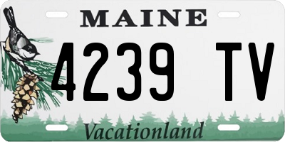 ME license plate 4239TV