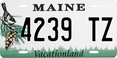 ME license plate 4239TZ