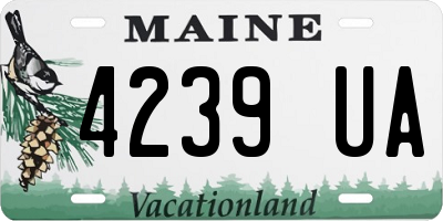 ME license plate 4239UA