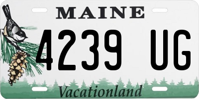 ME license plate 4239UG