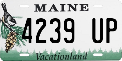ME license plate 4239UP