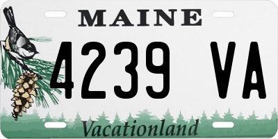 ME license plate 4239VA