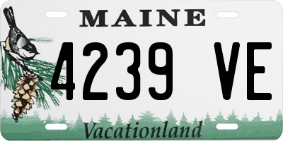 ME license plate 4239VE