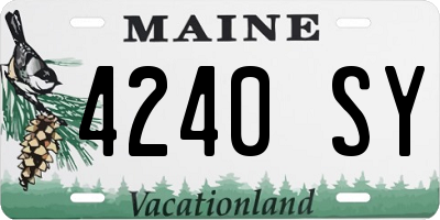 ME license plate 4240SY