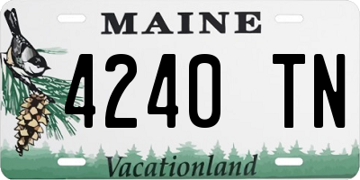 ME license plate 4240TN