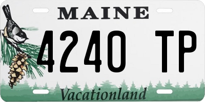 ME license plate 4240TP