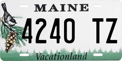 ME license plate 4240TZ