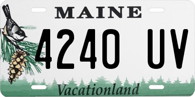 ME license plate 4240UV