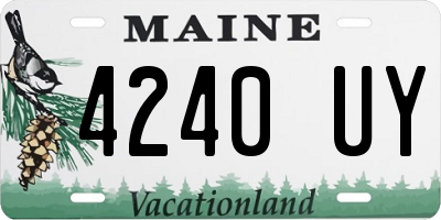 ME license plate 4240UY