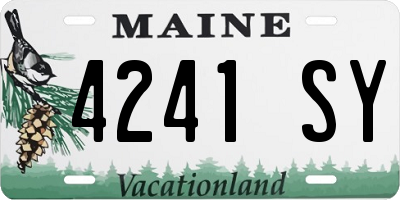 ME license plate 4241SY