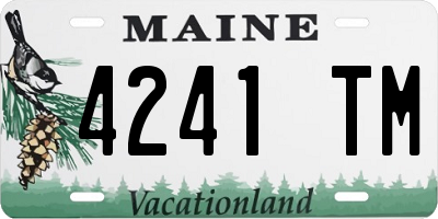 ME license plate 4241TM