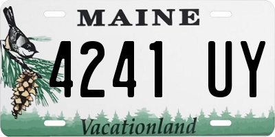 ME license plate 4241UY