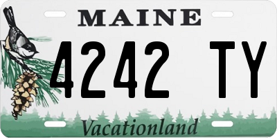 ME license plate 4242TY