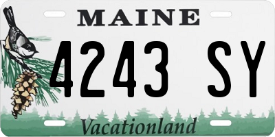 ME license plate 4243SY