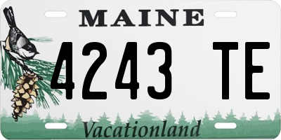 ME license plate 4243TE