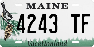 ME license plate 4243TF