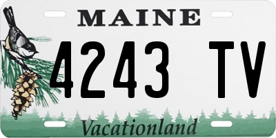 ME license plate 4243TV