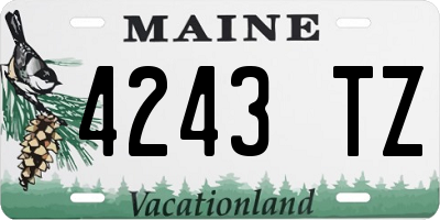 ME license plate 4243TZ