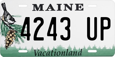 ME license plate 4243UP
