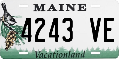 ME license plate 4243VE