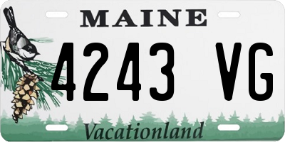 ME license plate 4243VG