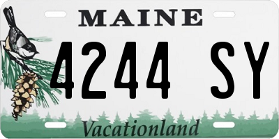 ME license plate 4244SY